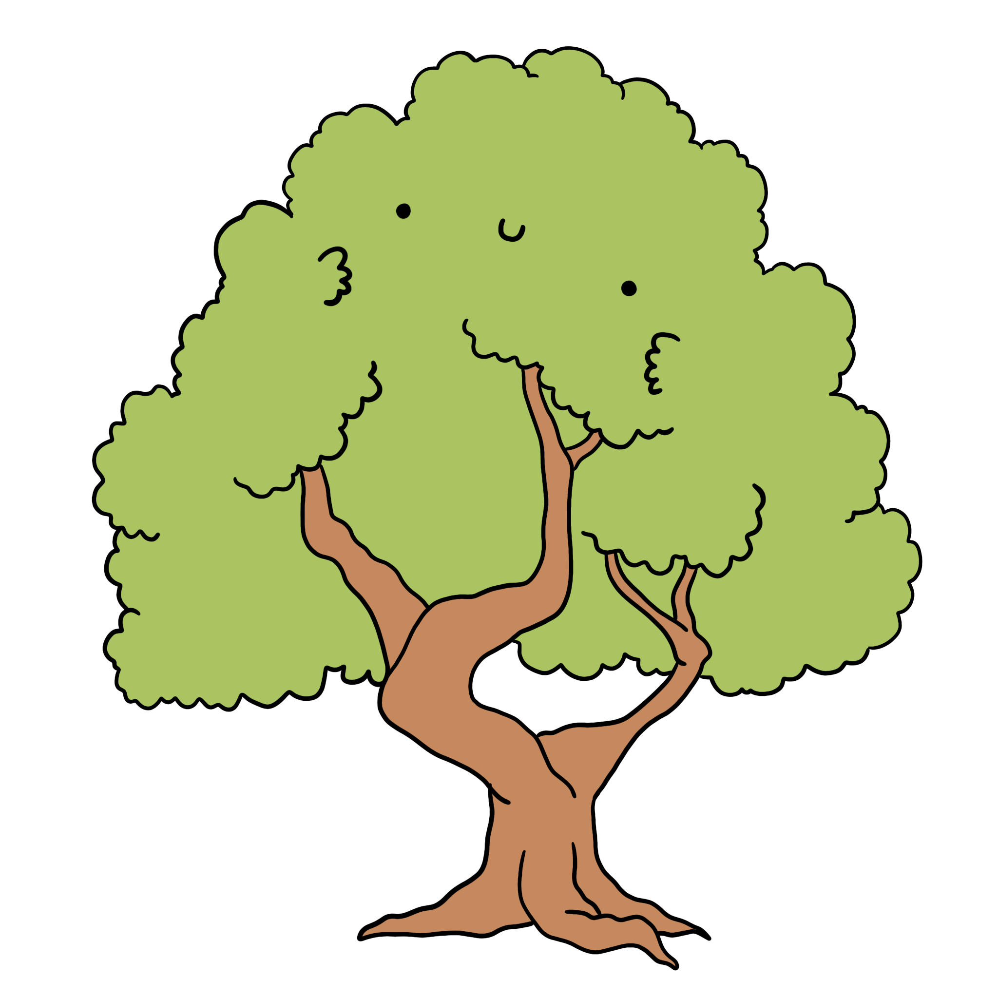 immagine disegno illustrazione albero