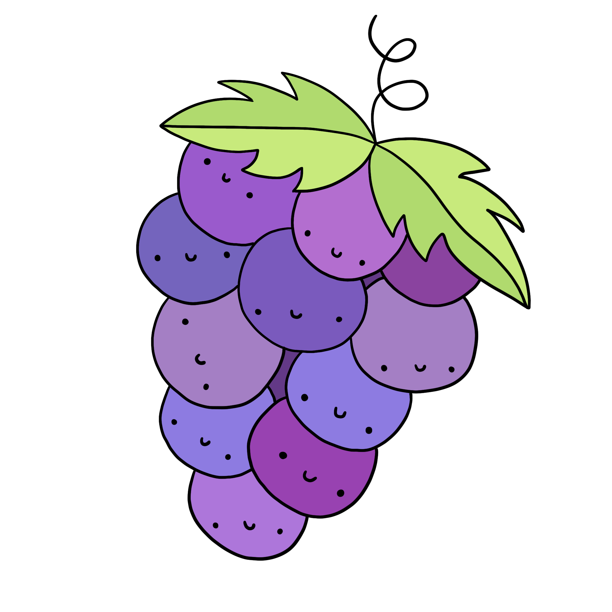immagine disegno illustrazione uva