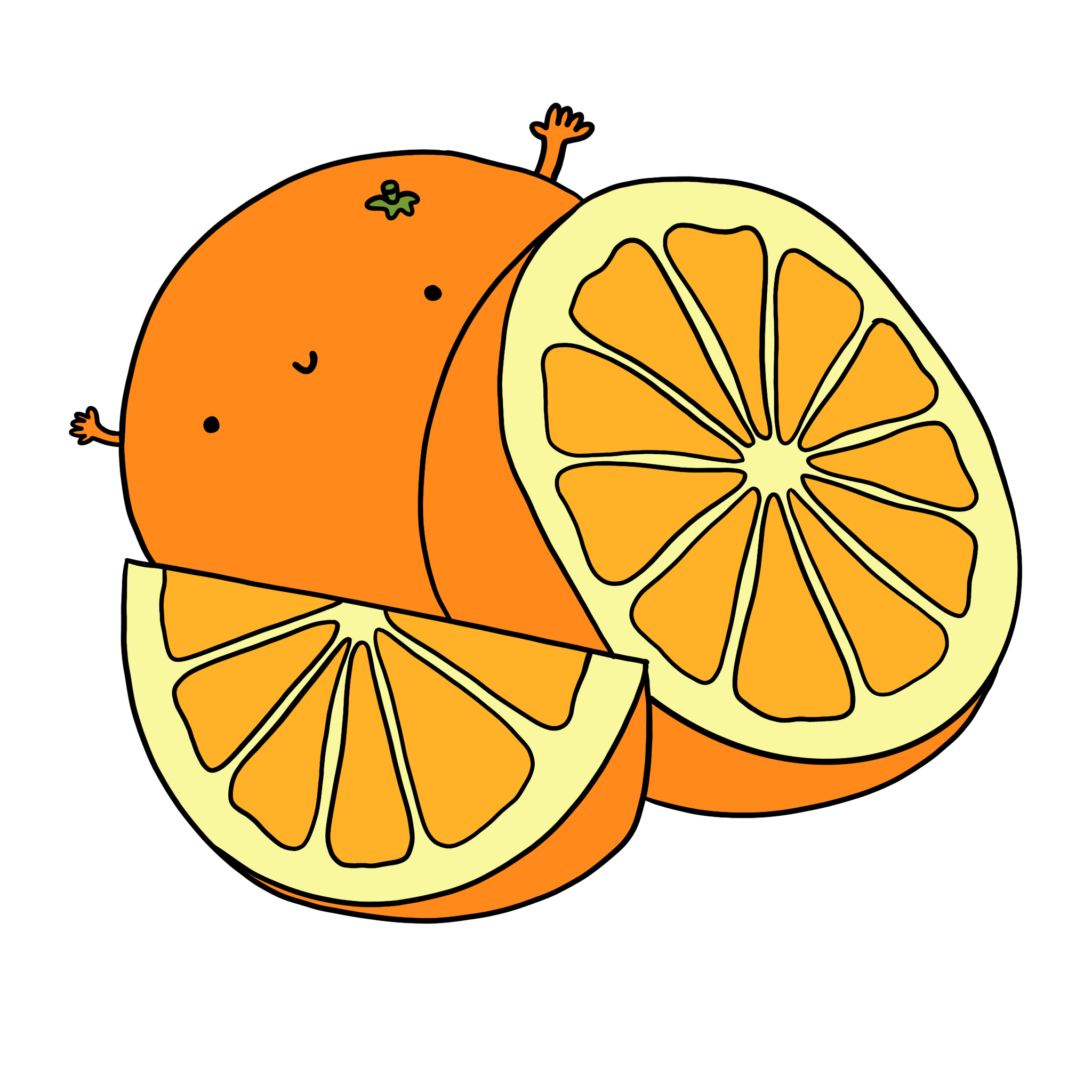 immagini disegni illustrazioni arancia