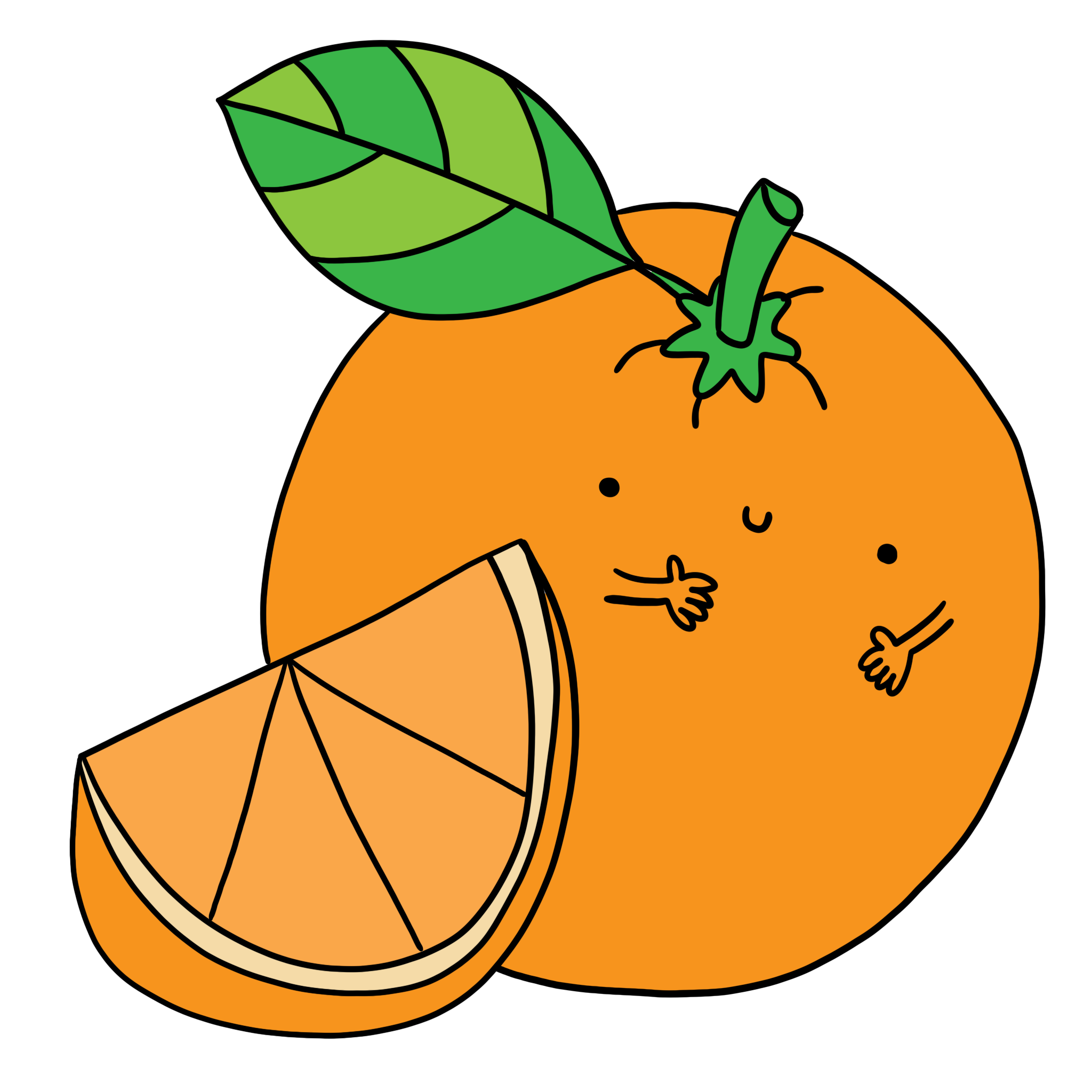 immagine arancia disegno arancia illustrazione a colori arancia
