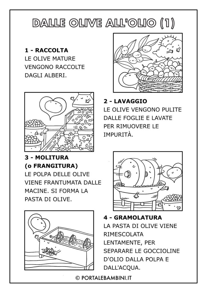 ciclo produttivo dell'olio dalle olive all'olio schede didattiche per la scuola primaria da stampare 1