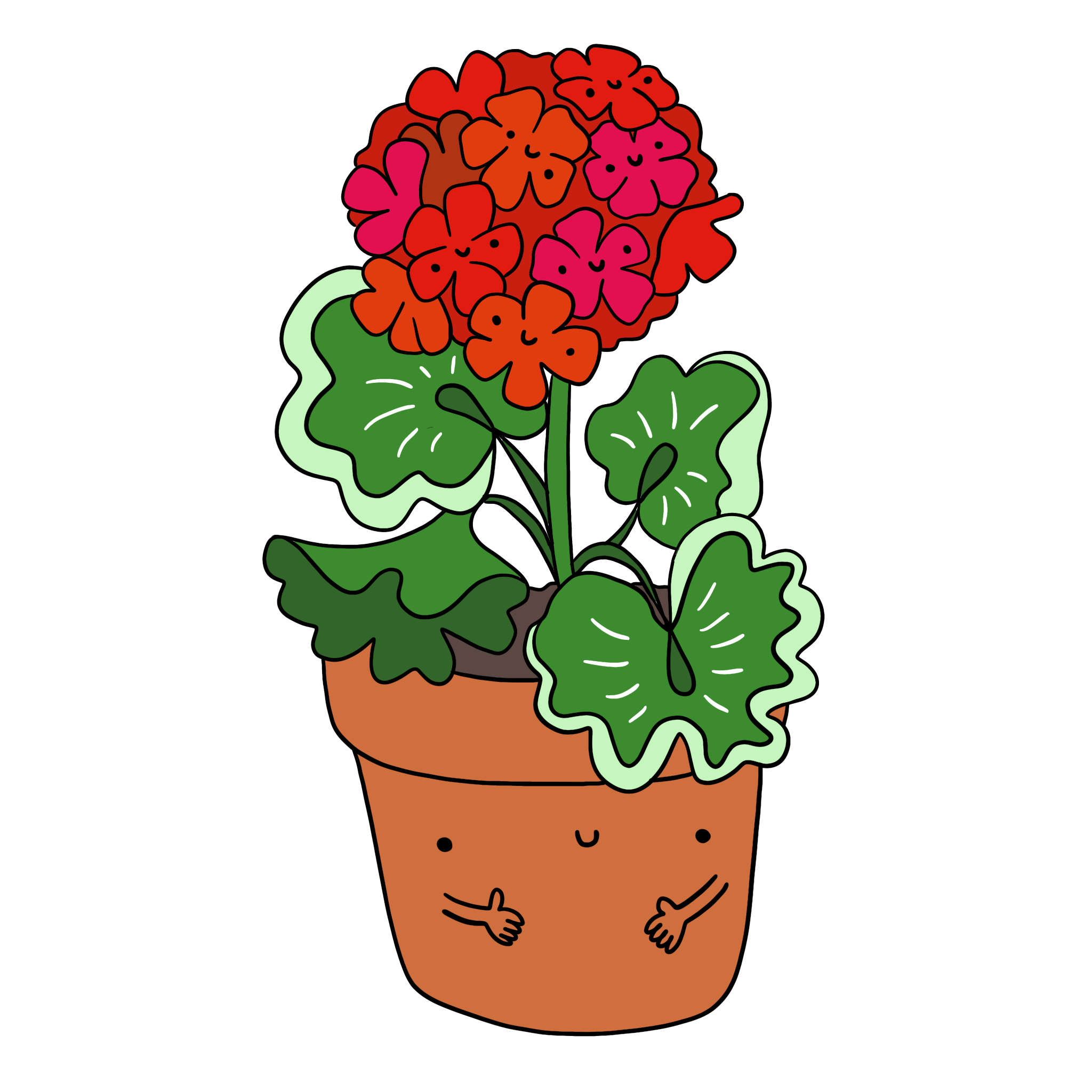 immagine disegno illustrazione a colori fiore geranio