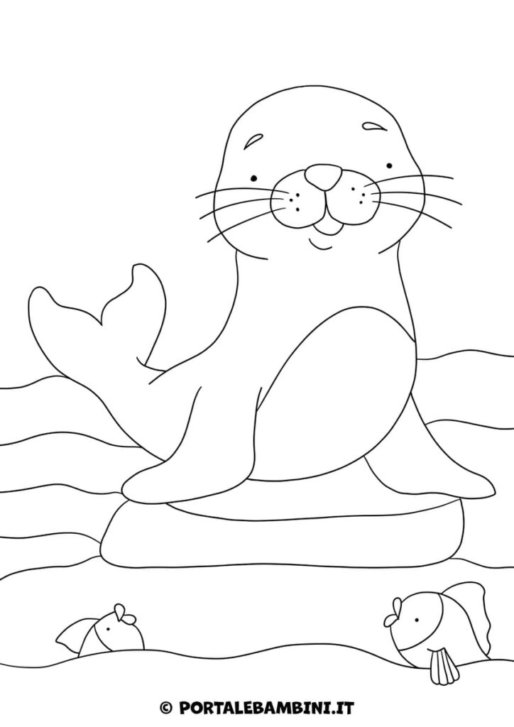 Disegno di foca da colorare per bambini