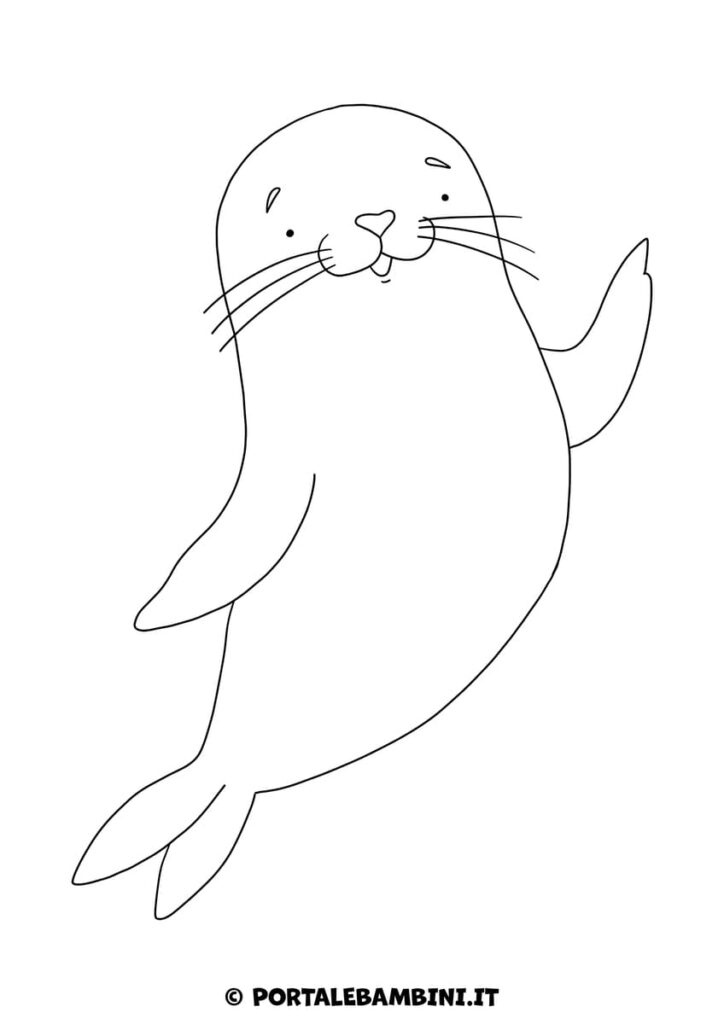 Disegno di foca da colorare per bambini