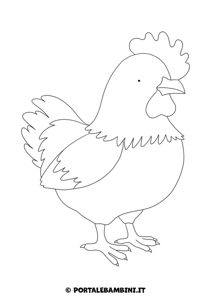 Gallina (disegno da colorare)