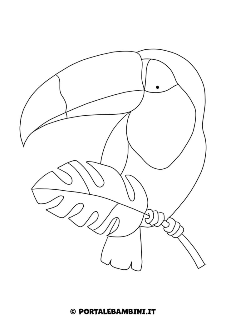Tucano da colorare