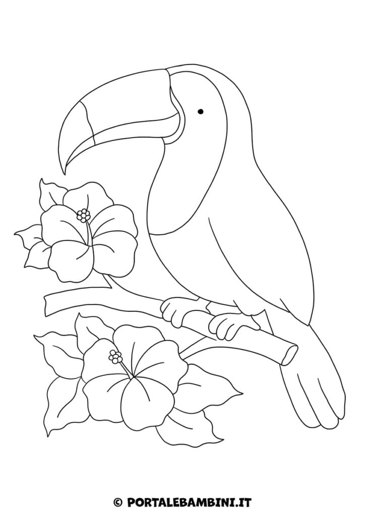 Tucano da colorare