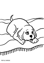 Immagini Di Animali Cuccioli Da Colorare