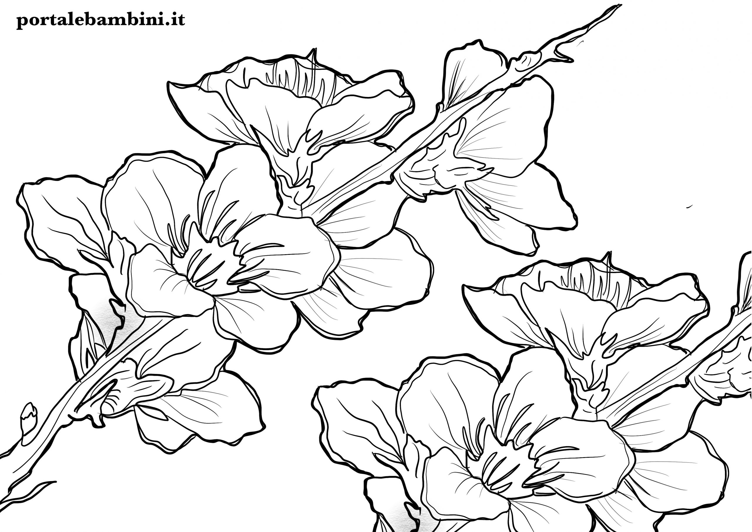 Disegni Di Fiori Da Colorare Portalebambini it Disegni Di Fiori Da Colorare Portalebambini it