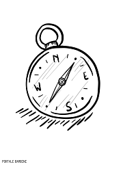 Disegni Di Formiche Da Colorare Per Bambini