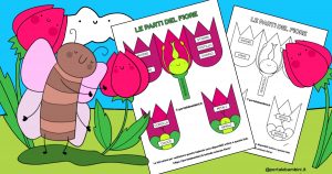 le parti del fiore