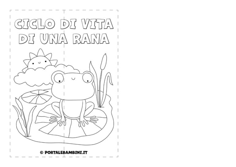 Puzzle in legno del ciclo della vita: giocattolo Montessori per