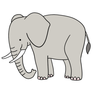 disegni immagini illustrazioni elefante