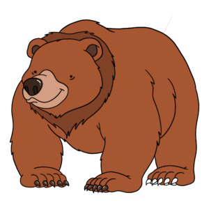 immagine disegno illustrazione orso bruno